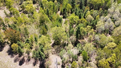 0 Red Apple Rd unit 24020764, Filer Charter Township, MI 49660 - photo 7