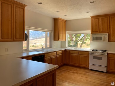 Kitchen featuring white appliances, light countertops, a textured ceiling, brown cabinets, and light wood-style flooring