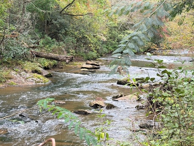 0 Antioch Rd unit CAR4315702, Lake Lure, NC 28746 - photo 4