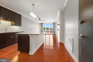 815 N Patrick St unit 305, Alexandria, VA 22314 - photo 5