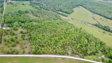 000 Missouri 125, Garrison, MO 65657 - photo 6