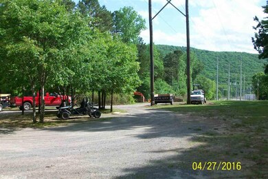 145 Spinks Ln, Heber Springs, AR 72543 - photo 5