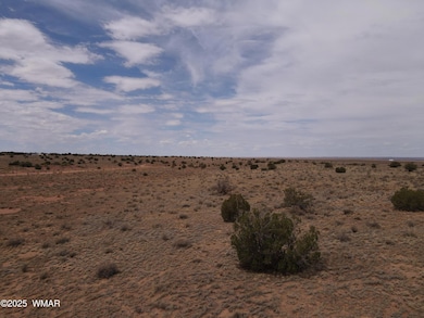 dji_fly_20250728_135506_857_175373612158