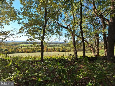0 Ridgeside Rd unit VALO2060072, Bluemont, VA 20135 - photo 2
