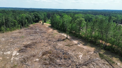 + - 9 7acres unit Attala County MS, Kosciusko, MS 39067 - photo 3