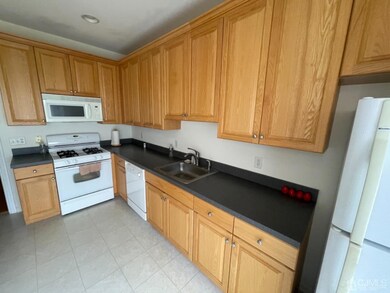 408 Birch Ct, New Brunswick, NJ 08901 - photo 7