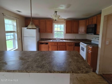 930 U S 70, Stacy, NC 28581 - photo 7