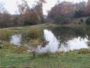 Spring fed Pond
