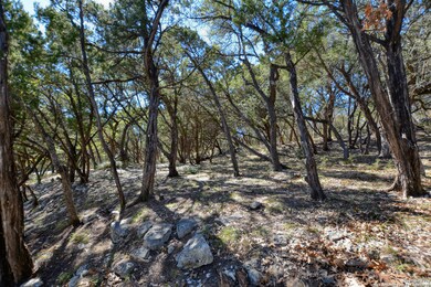 25600 Dull Knife Trail, San Antonio, TX 78255 - photo 6