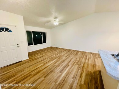 321 Valle Bonita Dr, Farmington, NM 87401 - photo 6