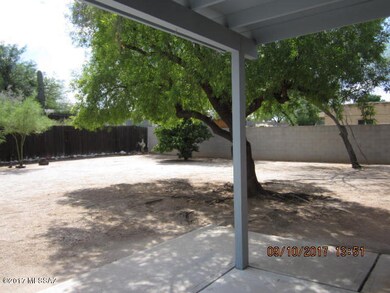 Patio and shade
