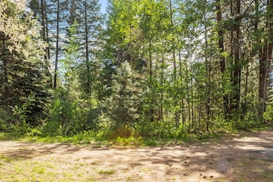 Variety of Trees