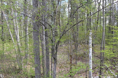 18 Ludlow Rd, Windham, NH 03087 - photo 5