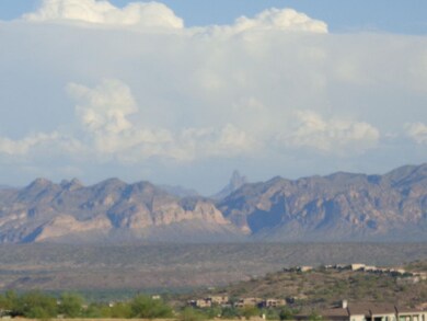 Weavers Needle