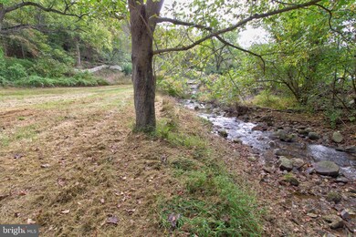 719 Gid Brown Hollow Rd, Washington, VA 22747 - photo 3