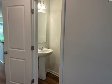 505 Kingfisher Ct, Lexington, SC 29072 - photo 3