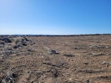 0800 Un Named Rd, Christmas Valley, OR 97641 - photo 7