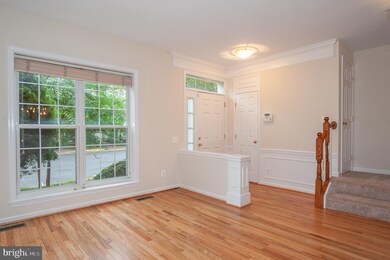 5448 Summer Leaf Ln, Alexandria, VA 22312 - photo 6