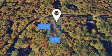 1 (Short Aerial View with Lot Dimensions