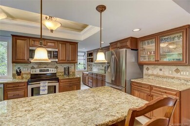 Custom kitchen with granite, cove ceiling and plen