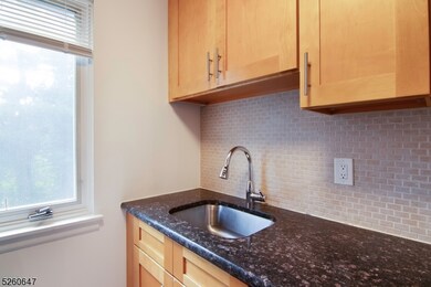 806 Morris Turnpike unit 3G6, Short Hills, NJ 07078 - photo 4