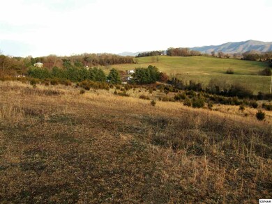Additional View 5