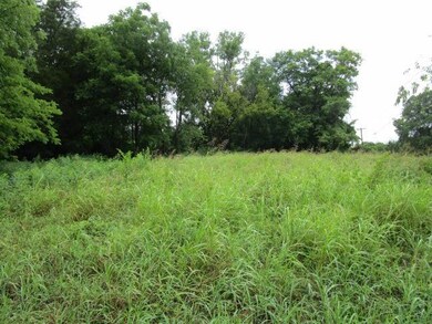 5929 Rutledge Pike, Rutledge, TN 37861 - photo 4