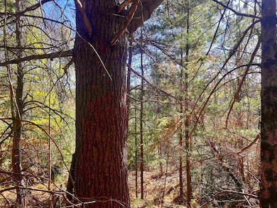 0 Right of Way Rd, Beecher, WI 54156 - photo 6