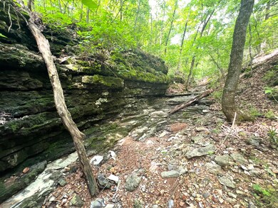 1619a Farm Road Sw4381, Noel, MO 64854 - photo 7