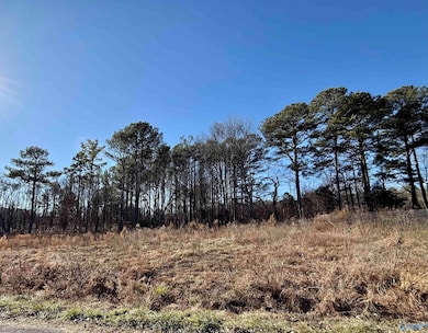 Lot 24 Chambers Rd, Arab, AL 35016 - photo 2