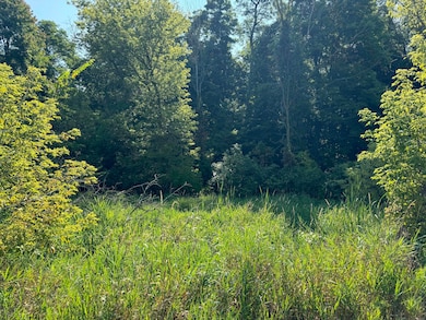 30,40,&50 62nd St, Decatur, MI 49045 - photo 6