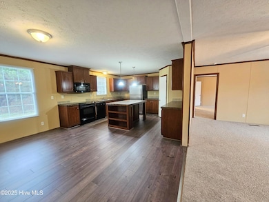 97 Lacewell St, East Arcadia, NC 28456 - photo 4