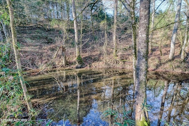 08-Crouch Rd Sparta-008
