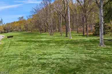50 Hidden Valley Rd, Far Hills, NJ 07931 - photo 2