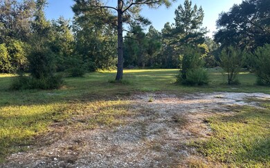 0 Highway 100 unit 128519, Lake Butler, FL - photo 3