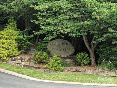 99999 Mills River Way unit Lot 107, Mills River, NC 28742 - photo 6