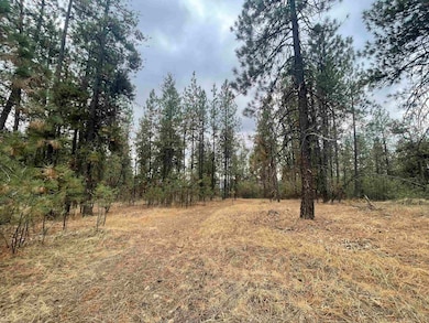 nka Rocky Top Way, Deer Park, WA 99006 - photo 2