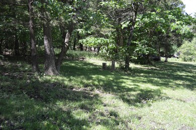 Tbd Wildflower Lots 43 44, Kimberling City, MO 65686 - photo 3