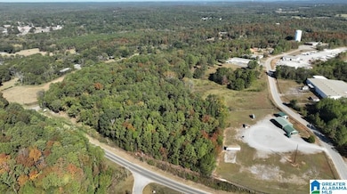 249 Highway 216, Montevallo, AL 35115 - photo 6