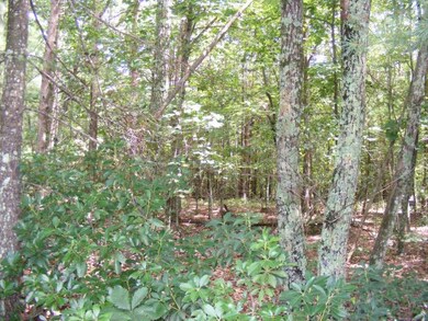 All Wooded