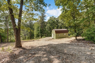 000 State Highway Pp, Galena, MO 65656 - photo 4