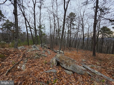 Lot 38 SEC V Breakeven Ln, Berkeley Springs, WV 25411 - photo 5