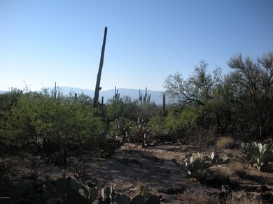 Distant East View