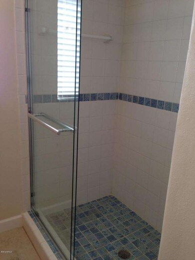 master bath shower-turtle
