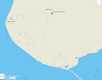 32926 Coyote Run Rd, Nikolaevsk, AK 99556 - photo 5