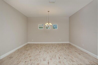 6289 Hidden Branch Dr, Apollo Beach, FL 33572 - photo 5