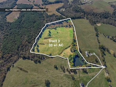 2760 Wallace Fork Rd, Princeton, KY 42445 - photo 4