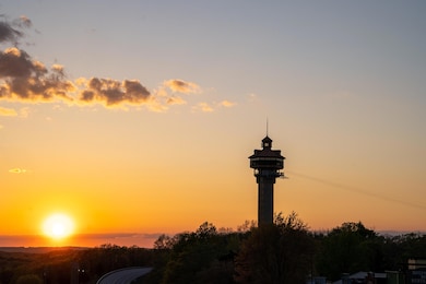2917 Vineyards Pkwy unit 2, Branson, MO 65616 - photo 7