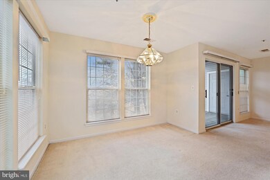 4406 Silverbrook Ln unit J103, Owings Mills, MD 21117 - photo 7