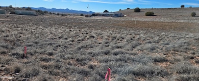 25670 Saint Joseph Rd unit 479, Paulden, AZ 86334 - photo 5